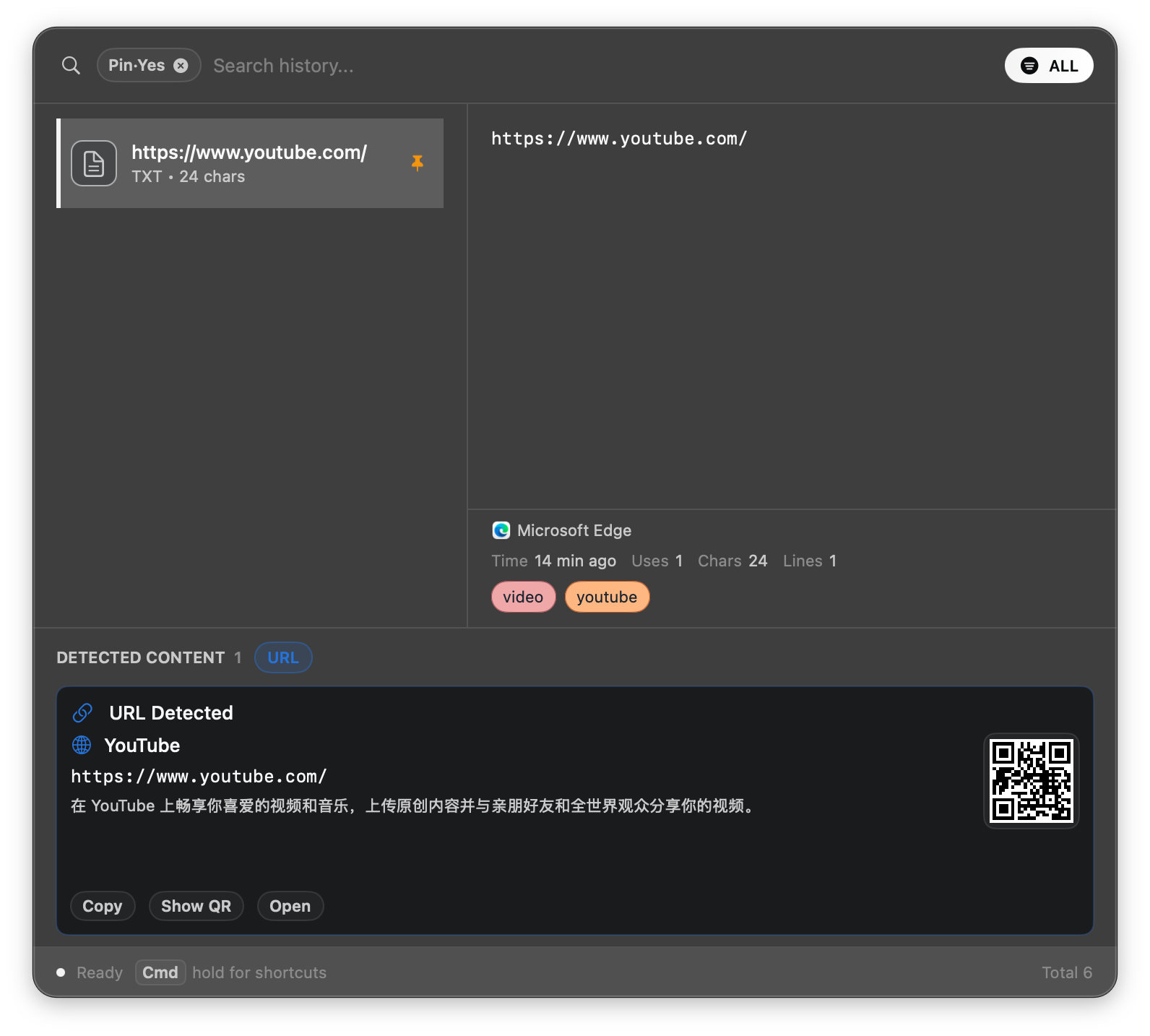 Filtering to pinned items only